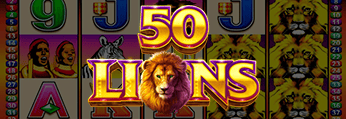 50 Lions