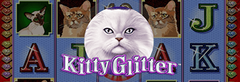 Kitty Glitter