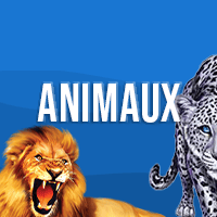 Animaux