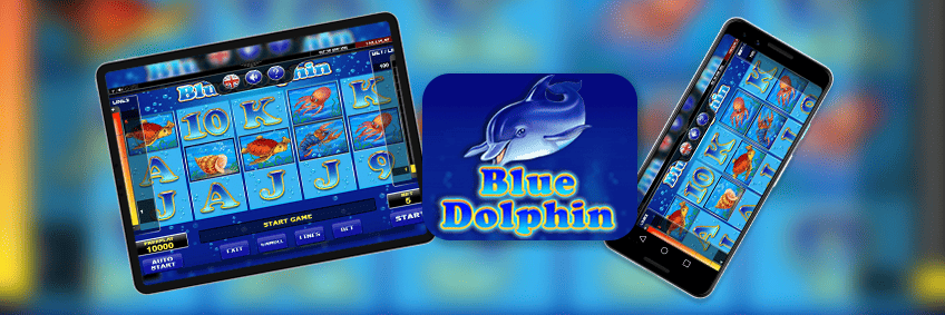 blue dolphin