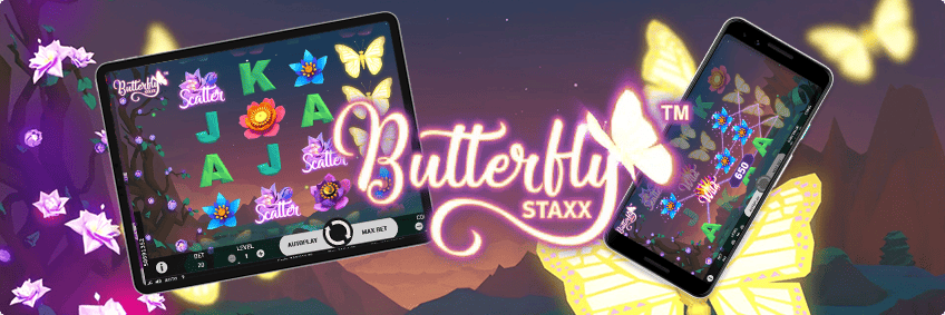 butterfly staxx