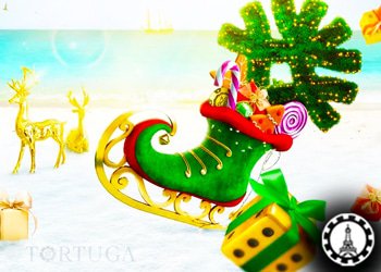 cagnotte 80000 distribuer tortuga casino