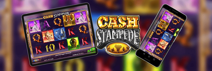 cash stampede