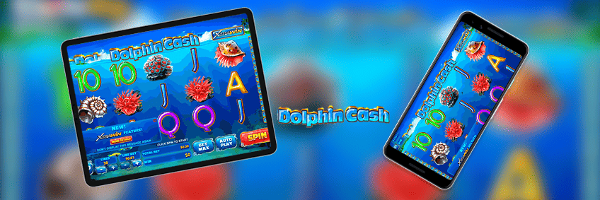 dolphin cash