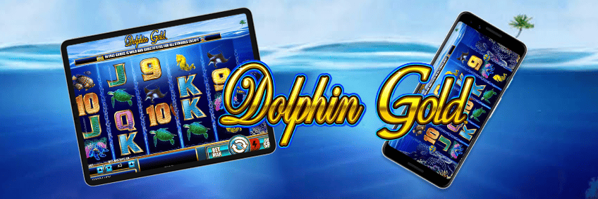 dolphin gold