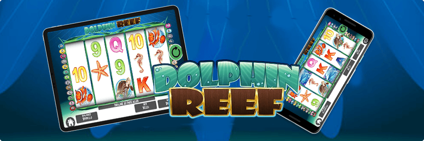 dolphin reef nextgen