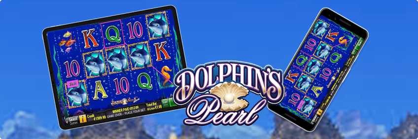 dolphins pearl