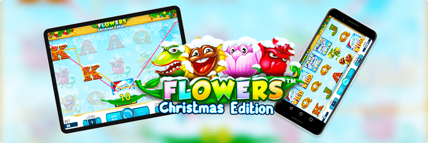 flowers christmas edition