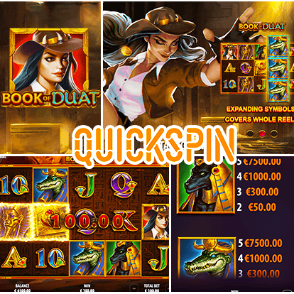 Logiciel Quickspin