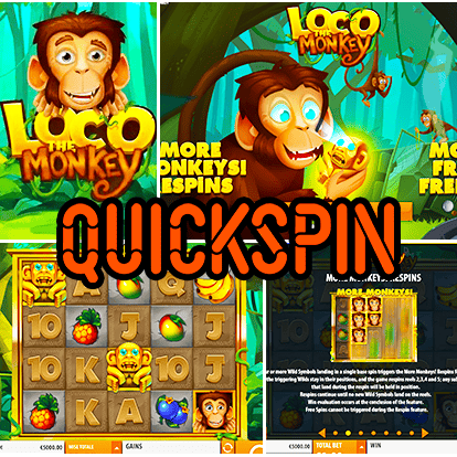 Logiciel Quickspin