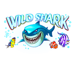 Wild Shark