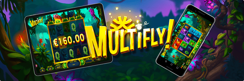 version mobile Multifly!