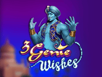 3 Genie Wishes