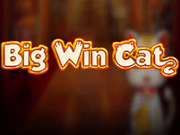 Big Cat Win