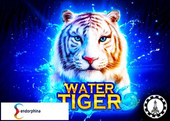 jeu casino igne tiger water