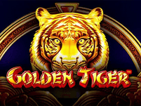 Golden Tiger