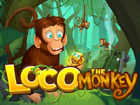 Loco the Monkey