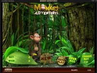 Monkey Adventures