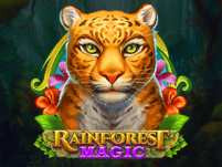 Rainforest Magic