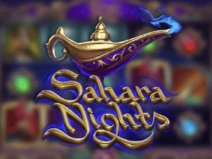 Sahara Nights