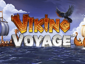 Viking Voyage