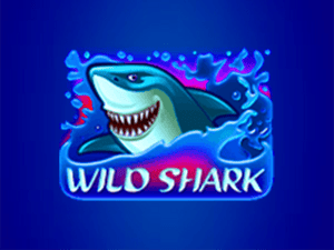 Wild Shark