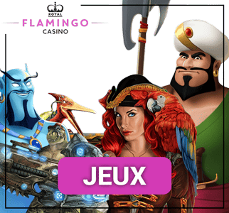 jeux et logiciel flamingo