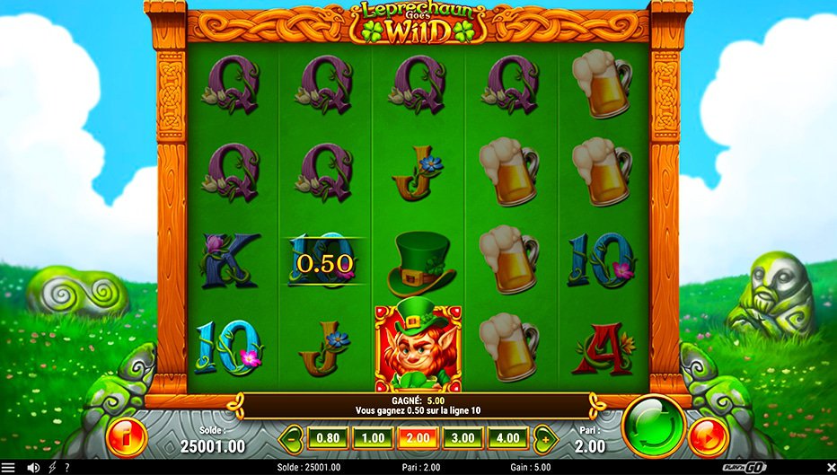 Lignes de paiement Leprechaun Goes Wild