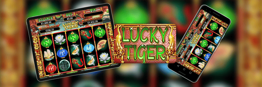 lucky tiger