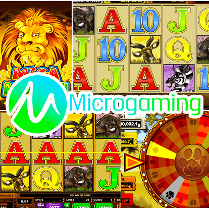 logiciel microgaming