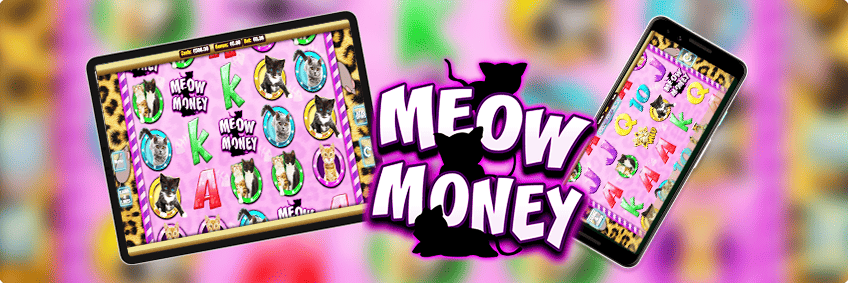 meow money