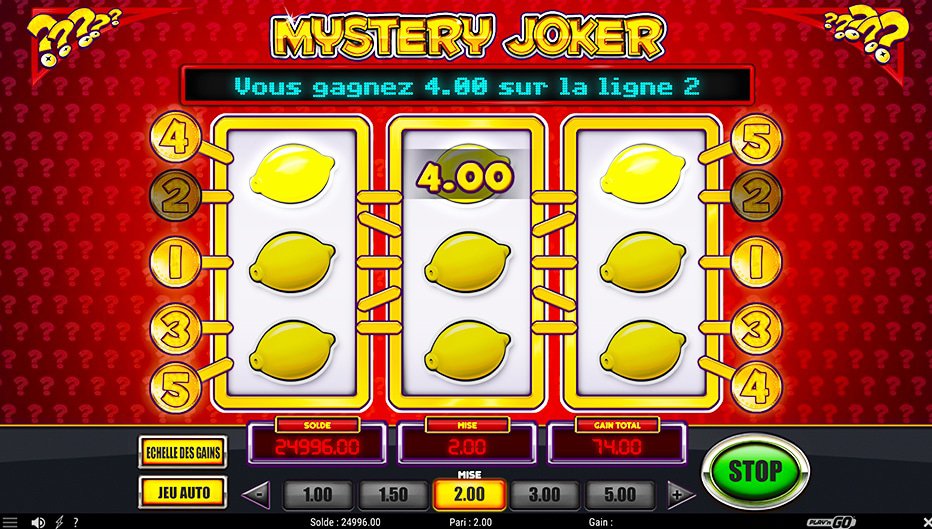 Lignes de paiement Mystery Joker