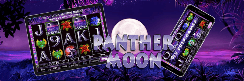 panther moon