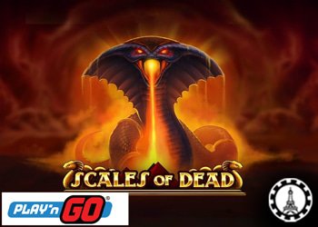 profitez des bonus vip de casinozer pour jouer scales of dead