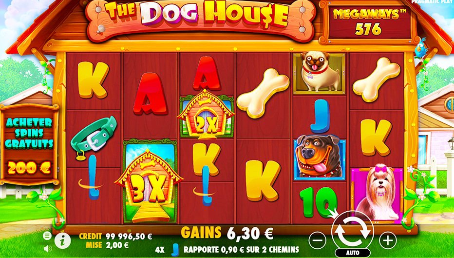 Lignes de paiement The Dog House Megaways