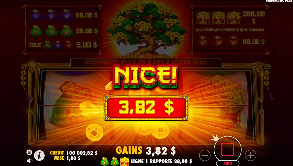 Lignes de paiement Tree of Riches