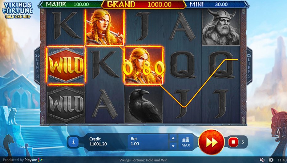 Lignes de paiement Vikings Fortune: Hold and Win