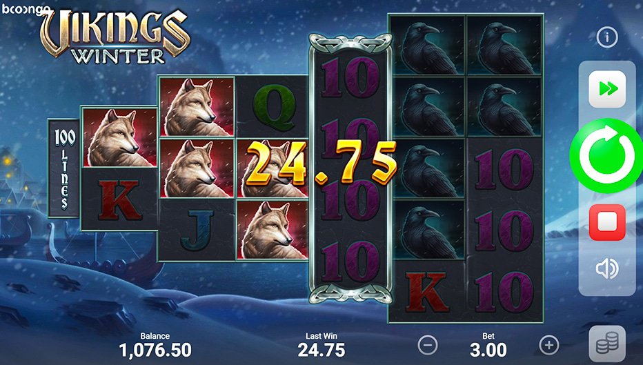 Lignes de paiement Vikings Winter