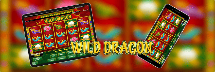 wild dragon