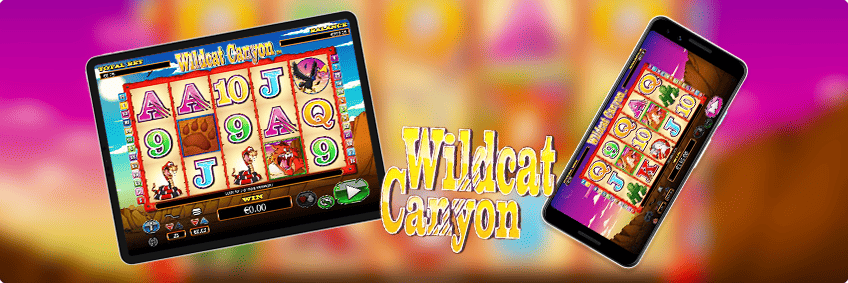 wildcat canyon nextgen