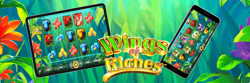 wings of riches